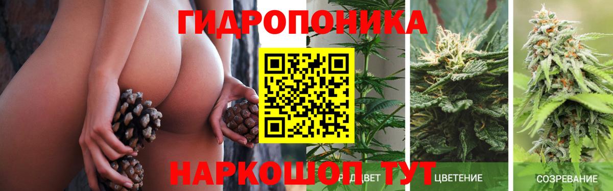 Конопля VHQ  Бошки марихуана марихуана  Шишки марихуана OG Kush  Горячий Ключ  Вход с VPN  Каннабис SATIVA & INDICA 
